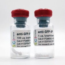 anti-GFP антитела, клон 2G7, anti-GFP-IP, ИФА, иммунопреципитация